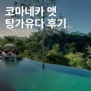 아침에 새소리 | 코마네카 앳 탕가유다 후기 (발리 우붓 풀빌라 리조트 총정리)
