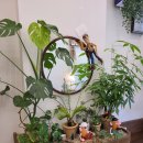 구십도씨