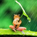 은빛추억 이미지