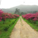 행복한사슴농장 이미지