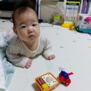 수경청과 - 영월군 서부시장길 8-1 | 수경청과