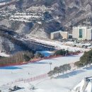 비발디여행사 이미지