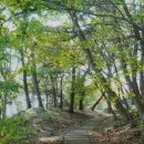 백마강길 이미지