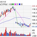 (주)바이오벳 이미지