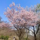 원적산공원 이미지