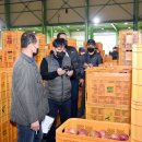 공판장유통 이미지