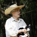 퍼스트독, 캣 이미지