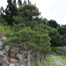 신기수목장 이미지