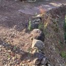 미화농장 이미지