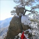용화산 티스토리