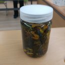 [가을학기 12강] 산야초 영양크림, CP 비누만들기 /산야초 밥상 : 스파게티 이미지