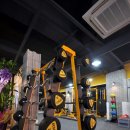 더 머슬짐 이미지