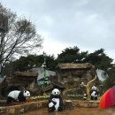 대전 여행 - 비 오는 날 오월드 방문기 (아프리카 사파리투어 후기)