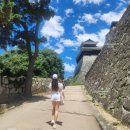 신장쇼핑몰관광안내소 | 마쓰야마 여행 :: 마쓰야마성 리프트 로프웨이 가격 가는법 설명드림!