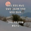 2022년 9월 2일(음:8월 7일. 일출 6시 02분.일몰19시 02분].제17회 "함양 산삼축제" 가 열린다지요. 이미지