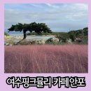 안포마을 | 여수 화양면 카페 핑크뮬리 명소 카페 안포
