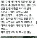 서울시 자치구 중에 바퀴벌레가 가장 많다는 광진구....jpg 이미지