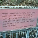 화암사 가는길 이미지