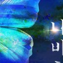 강남-134 이미지