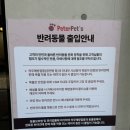 아이러브펫츠 애견 | [일산 애견카페] 서울 근교 뛰놀기 좋은 넓은 잔디밭 애견카페, 피터펫츠 후기