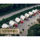 휴식공간 | 강원도 글램핑 캠핑장 추천 자연에머물다 청정계곡과 완비 시설의 편안함