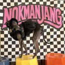 ［고산］옷잘입는강아지 펫패션 | 이누네코2025 신상 레트로하네스 반려견옷 겨울강아지옷 착용 후기