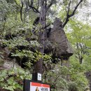 율사 | [여행][2025.09.07] 강원 평창군 / 오대산 적멸보궁 / 신라 선덕여왕 때, 자장율사가 건립한 곳
