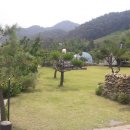 바른자산경매공인중개사사무소 이미지