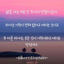 오늘,동안 Daum카페