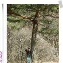 사내농장 이미지