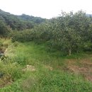 수지 농장 이미지