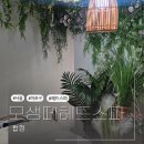 헤드 | 지루성 두피염 관리, 홍대헤드스파 모생떼 헤드스파 후기