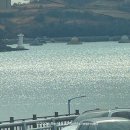 오토오아시스 여수중앙점 | 여수바다김밥 중앙점 갓참치 명란오믈렛 포장 재방문