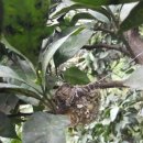 별이네농장 이미지