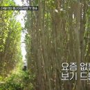 유엔아이민박