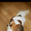 뚜비농장 이미지