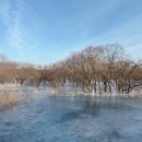 선진동물병원 | (간병인 후기) 꼭 없던 엄마가 생긴 것만 같았다. 돈을 주고 돌봄을 산다는 것은