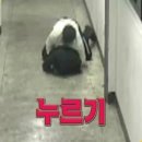 용인대범유도클럽 - 남양주시 마석로76번길 1 | 용인대범유도클럽