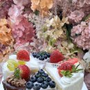 오로라케익하우스 이미지