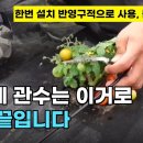 관수야관수 이미지