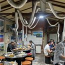 느티나무집 이미지