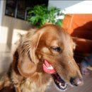 개포동월드 이미지