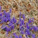 동천체육공원 이미지