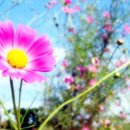 풍성공인중개사사무소 이미지