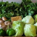 영농조합법인 그린제주 이미지