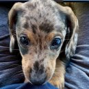 STEP(training center) 이미지