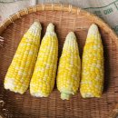 준서네 농장 이미지