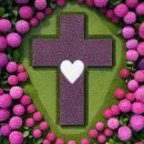 생명의 기쁨 이미지