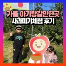 임하축산 | 가을 아기랑갈만한곳 사과따기체험 준비물 화성 수농원