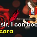 Baccara_ Yes Sir, I Can Boogie 이미지